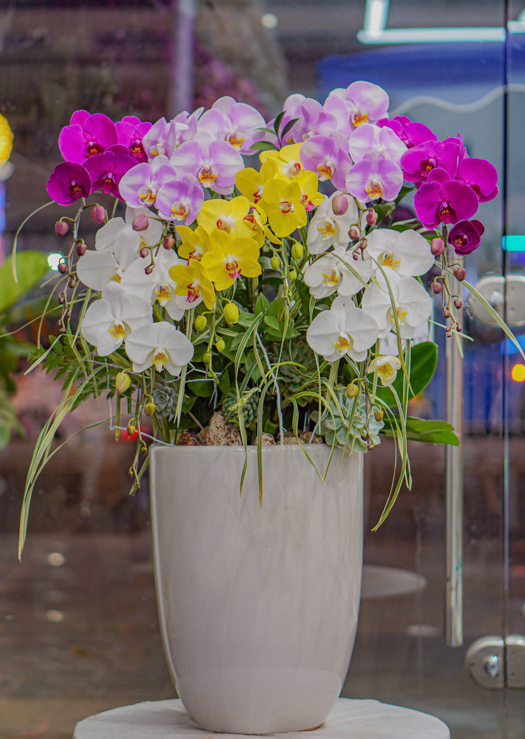 z6592285527003_b38f686d0bf6a3a7e539393ad974f1a7