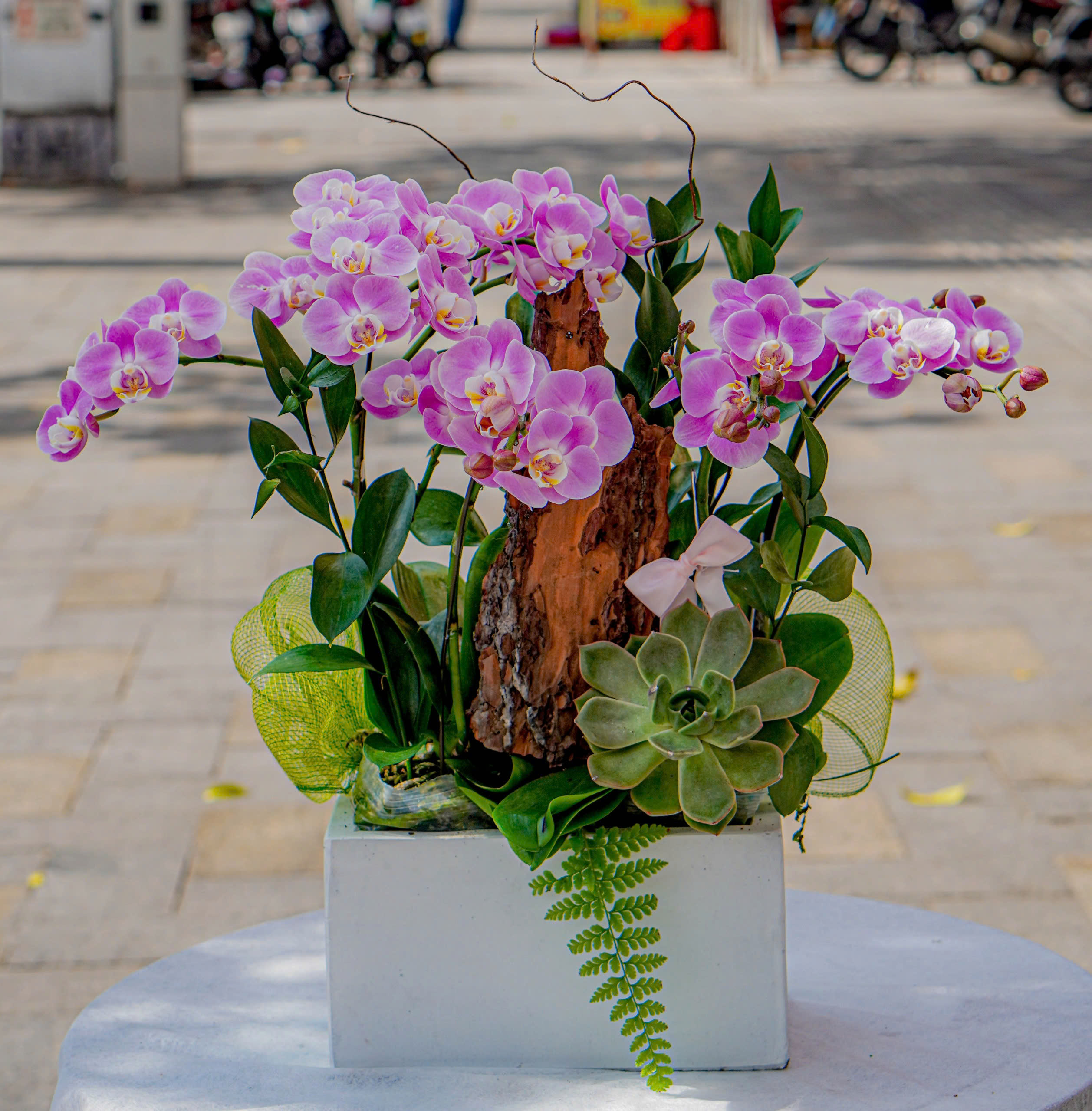 z6595601708639_19de12e385393353a9efc84cf399dad3