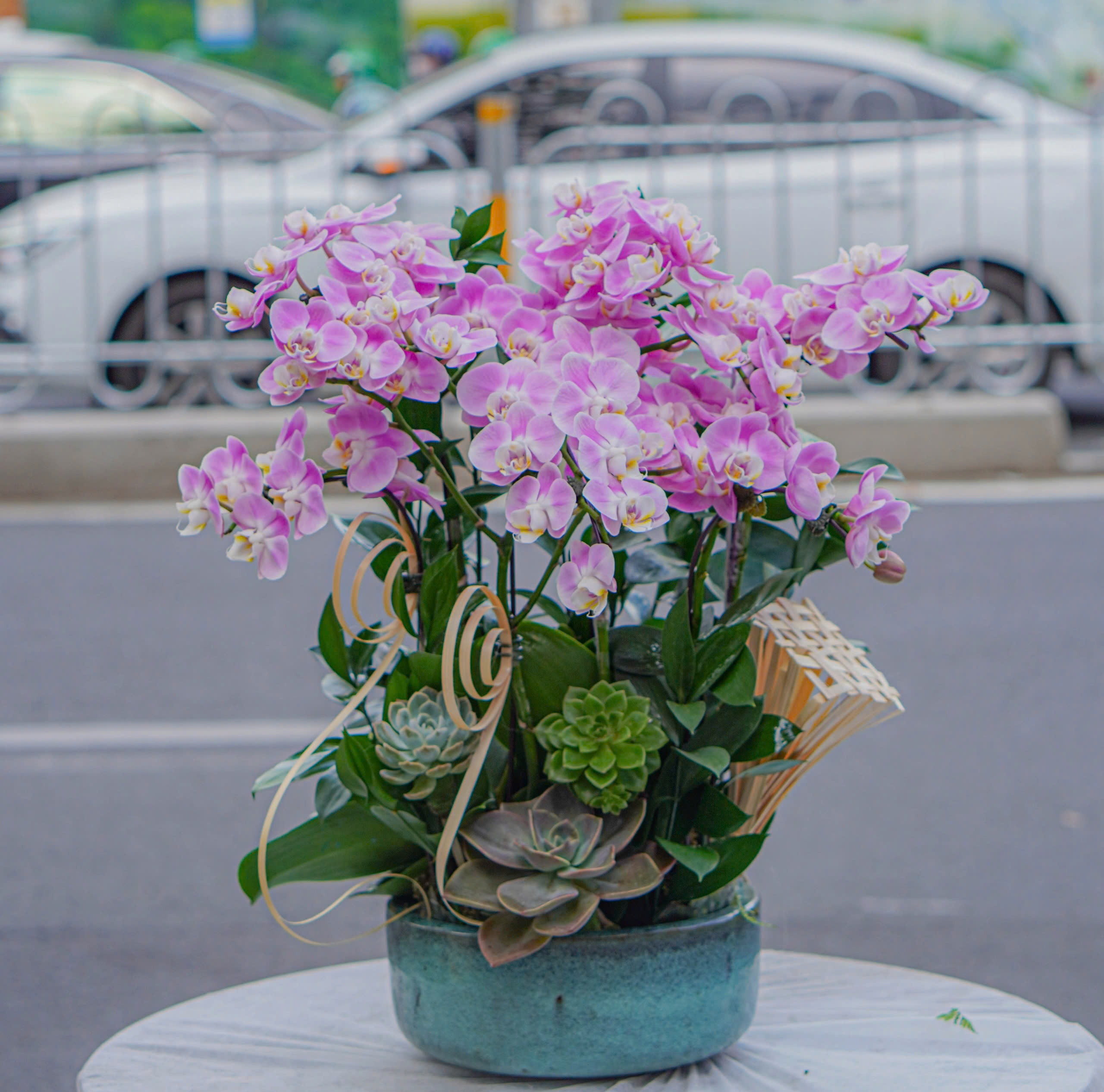 z6603929356422_34dee23129d57458d248c12397691d1d