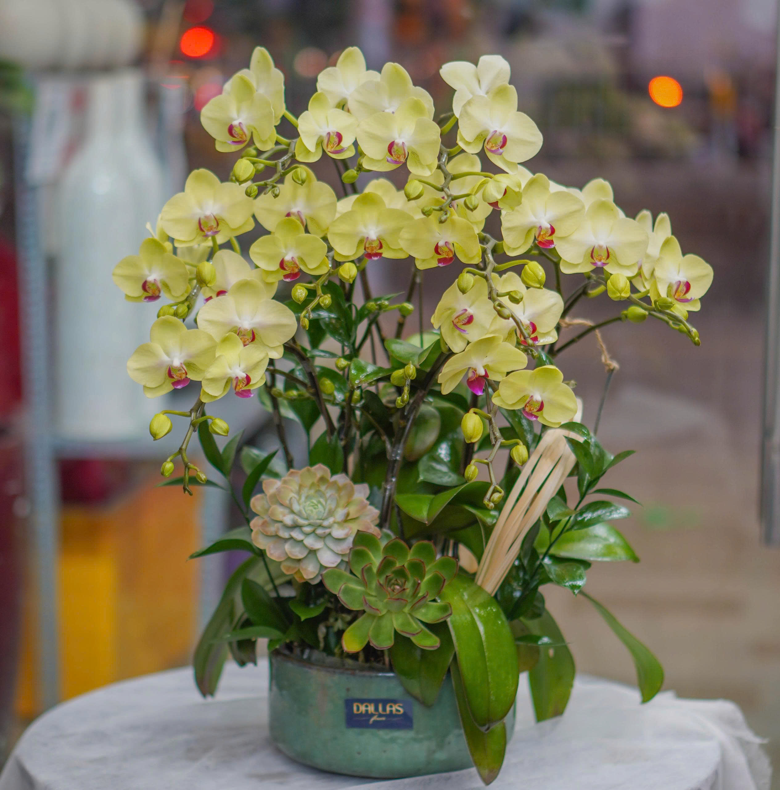 z6642522202749_4189d1601616d8960217369f03af8dbd