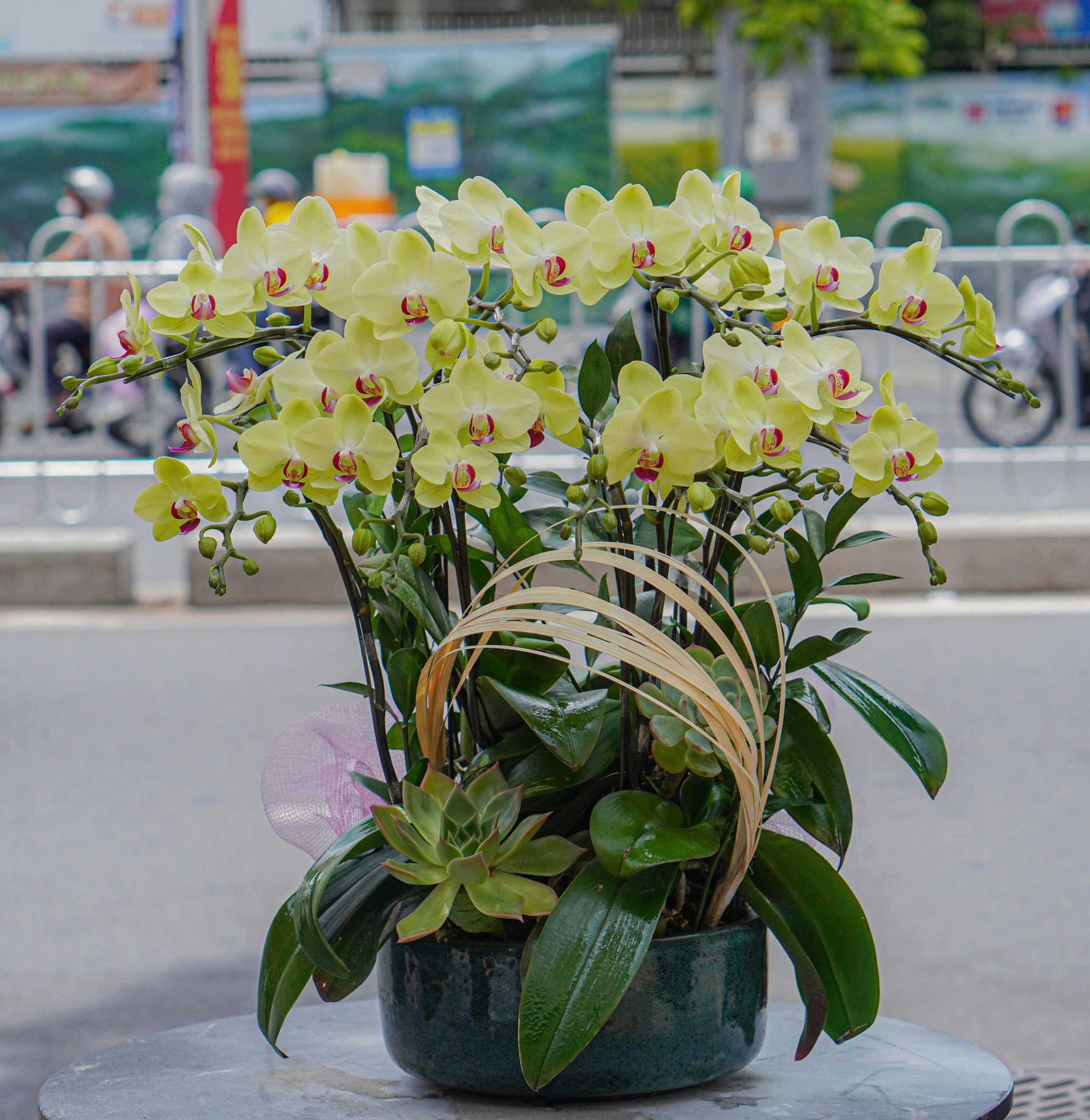 z6647229461027_ffc3aa99126a358c0a24e9118294e499