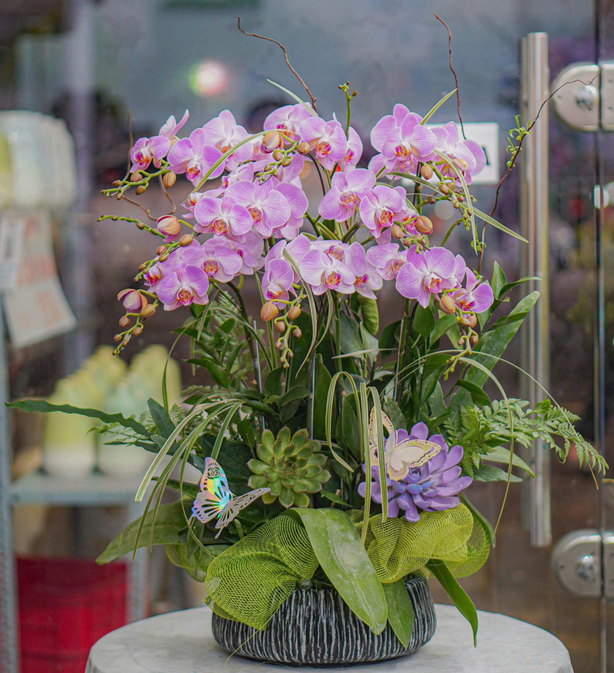 z6665943991185_6d3788ad38ba27f66b3676791512e519