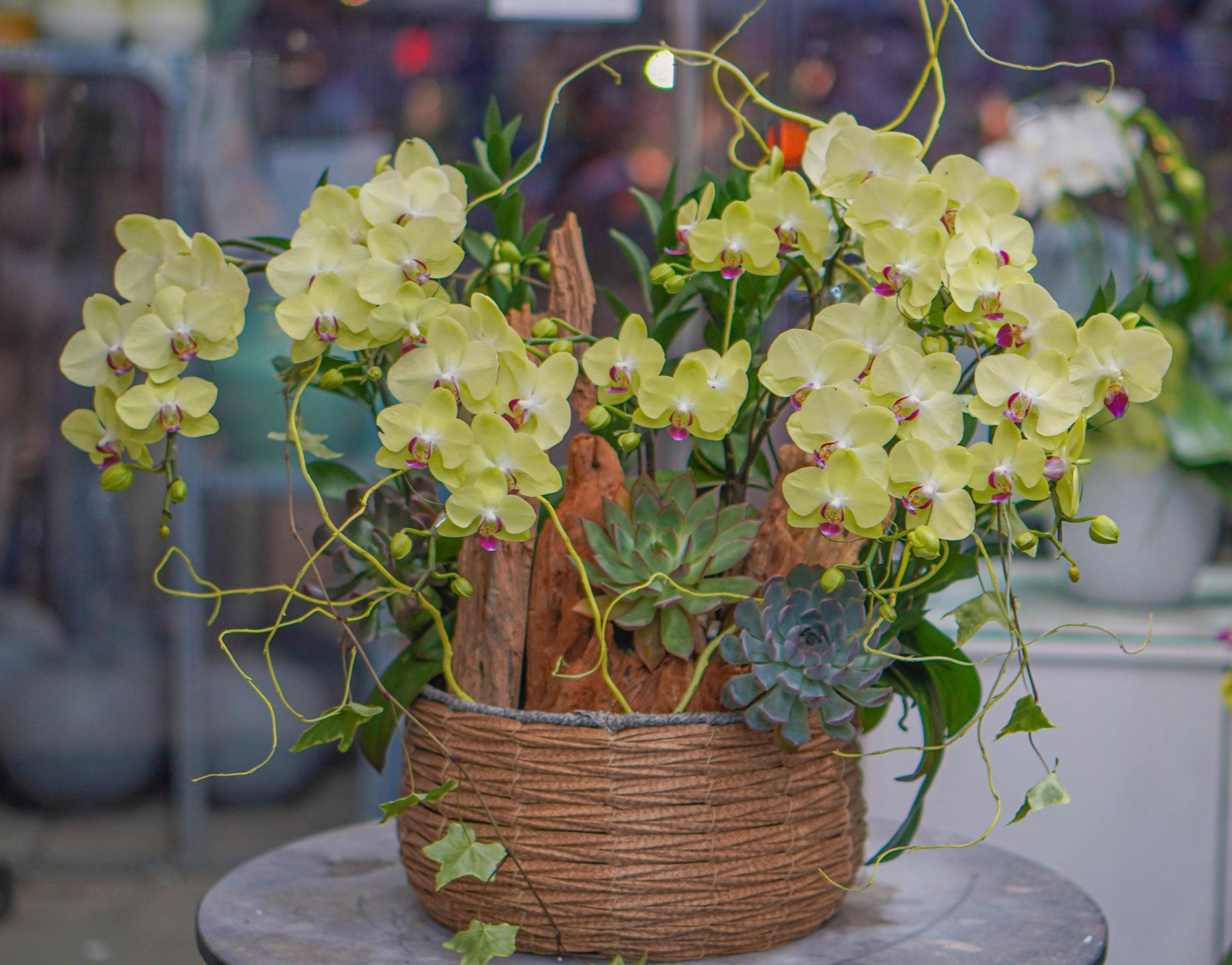 z6676426435831_6dc0549ba5204d8516960cfdcc022b38