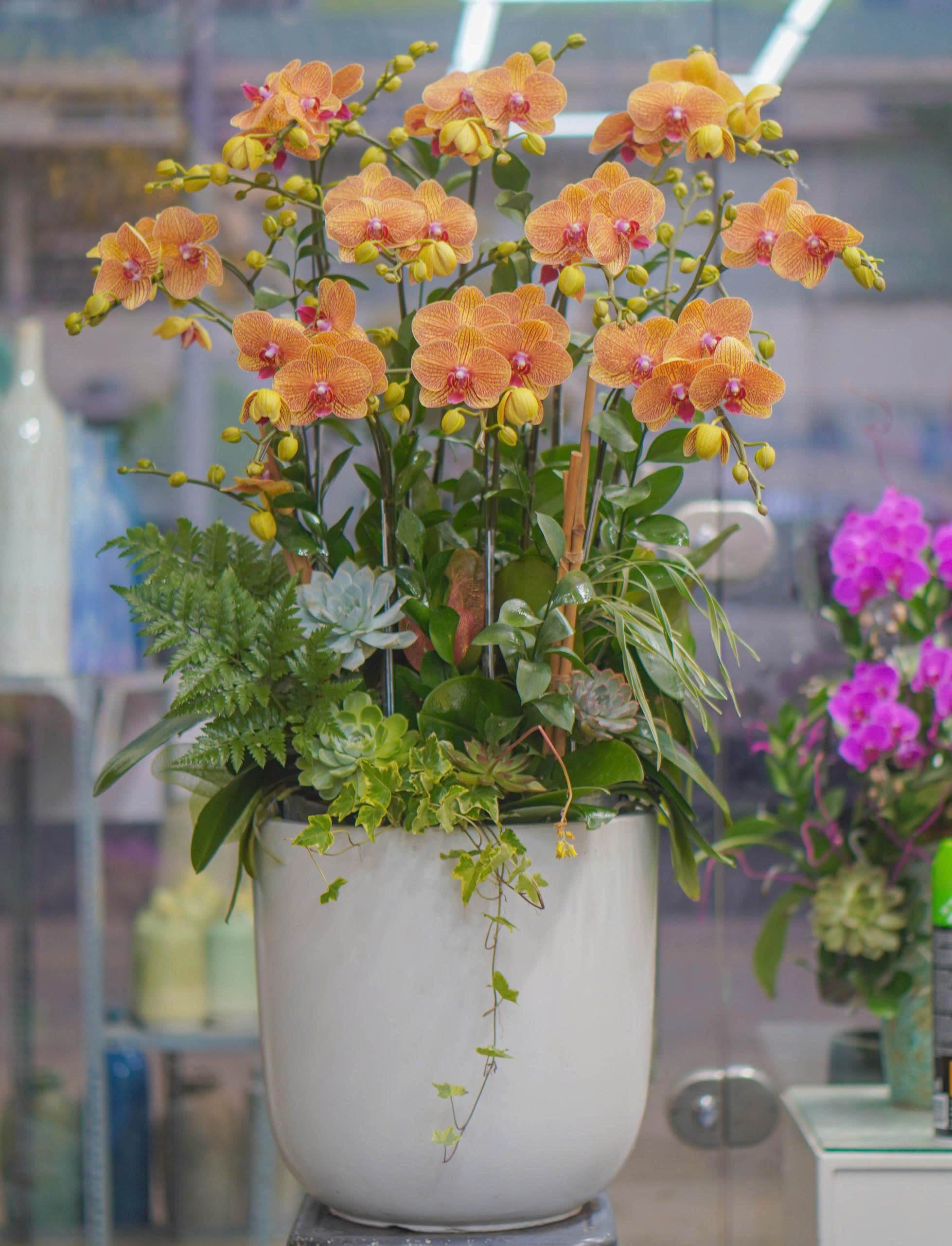 z6679982591192_adba4935ea72fd8a04b4a19caa7e3a4d