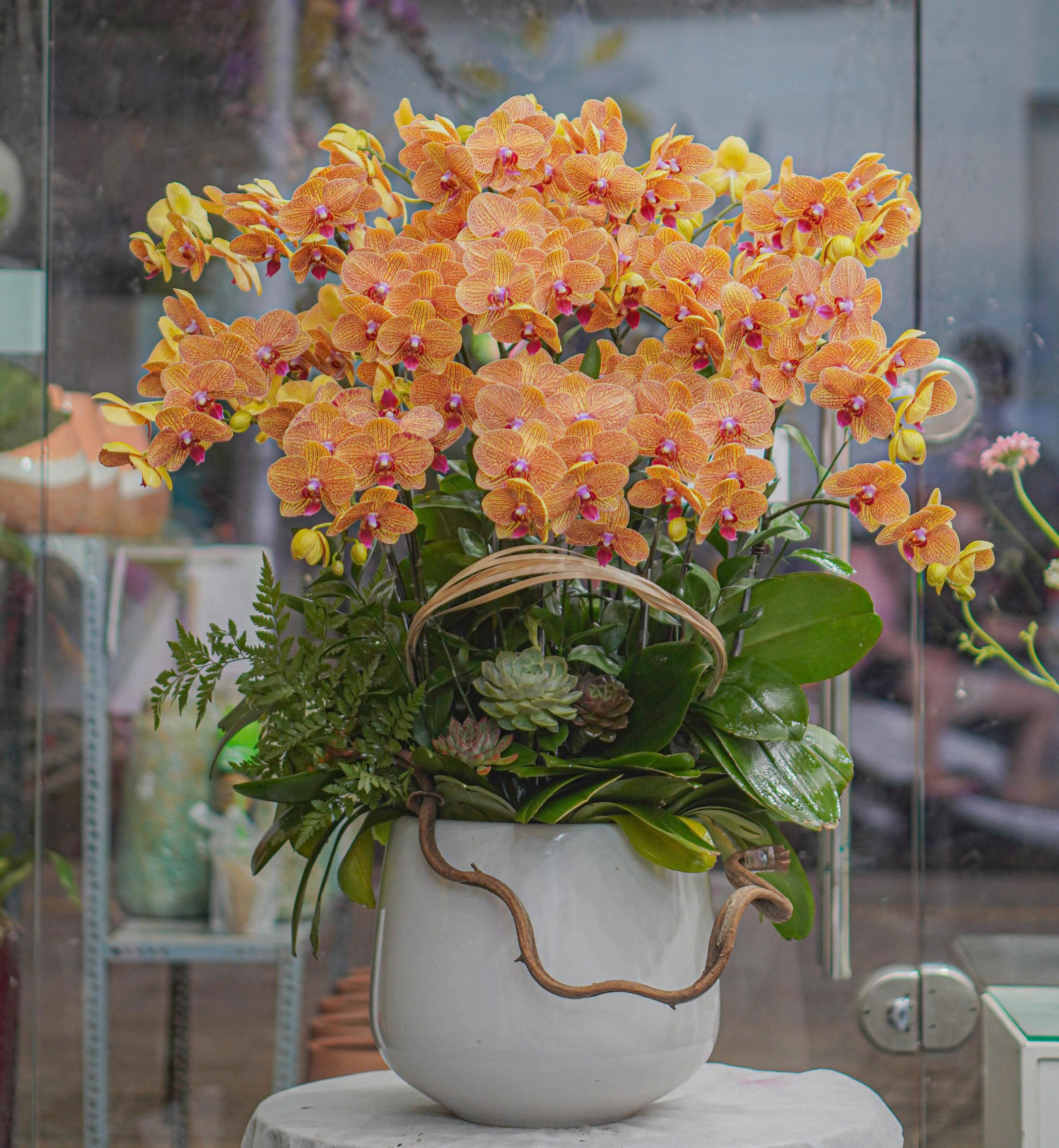 z6703167202794_6a27da447429b6c013612ecce61b7bb1