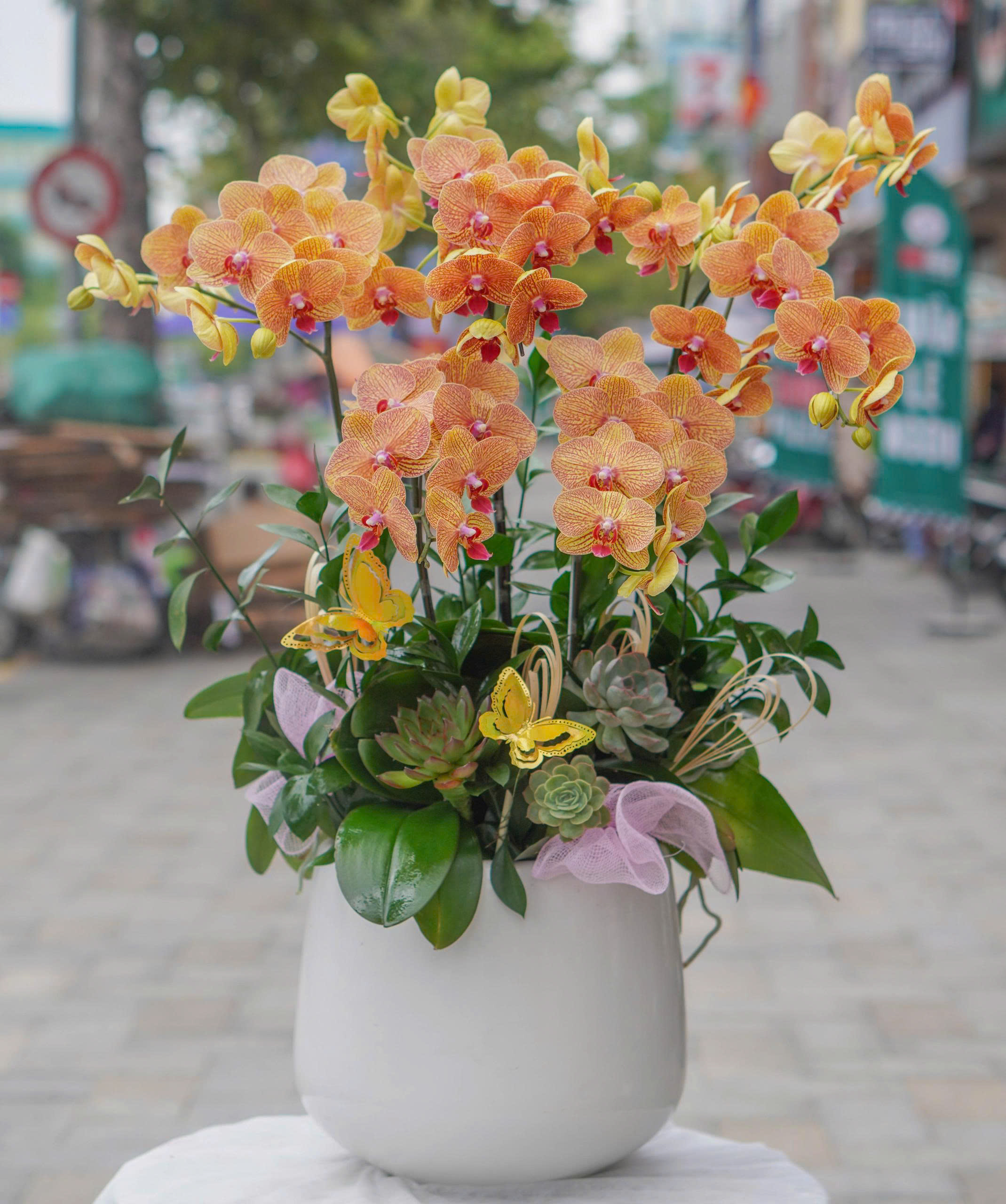 z6703989721973_1b9b8df64e897f34668d671eae08d82c