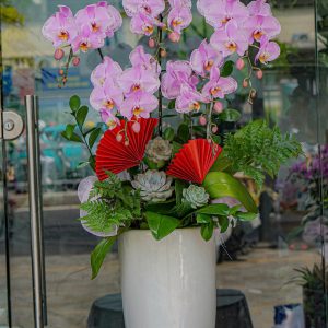 Chậu Hoa Lan Hồ Điệp Tím Hồng (T8-N11/02)