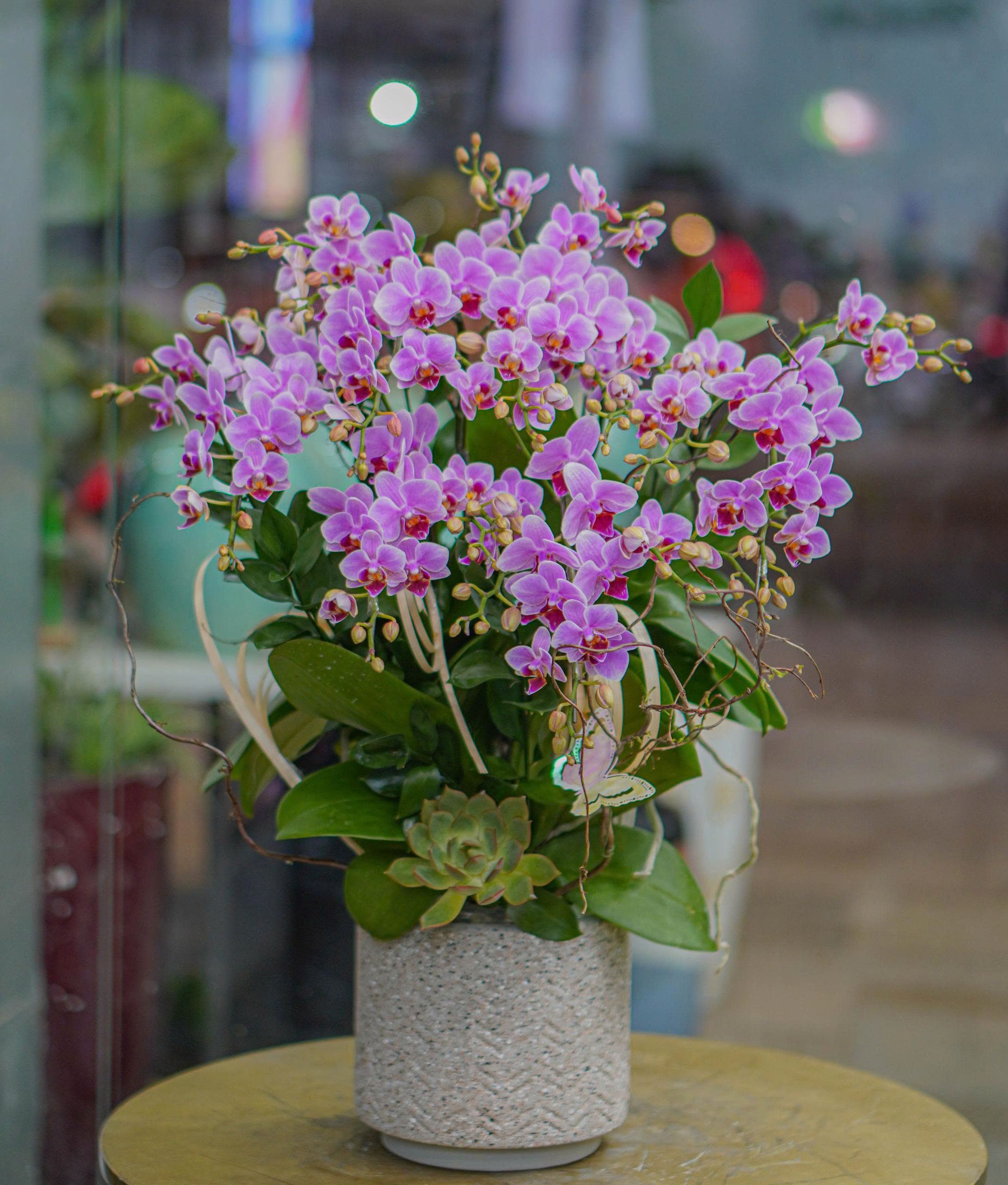 z6819399620594_1aeda66d080b0bf146550305556fe6f7