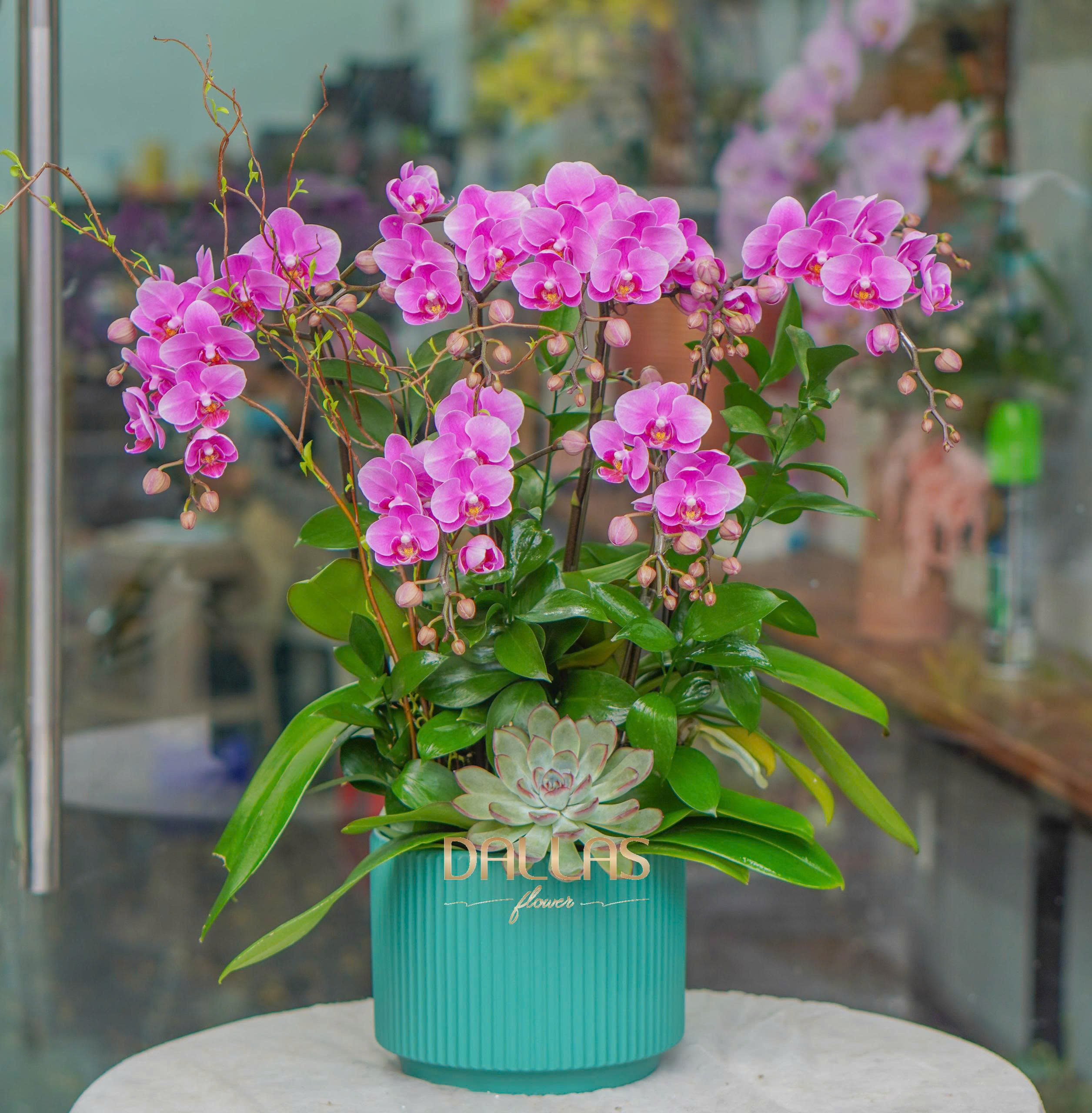 z6896074199185_a0305ff477230eecee9011244c5c78d0