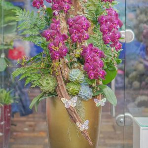 Chậu Hoa Lan Hồ Điệp Tím (T9-N13/18)