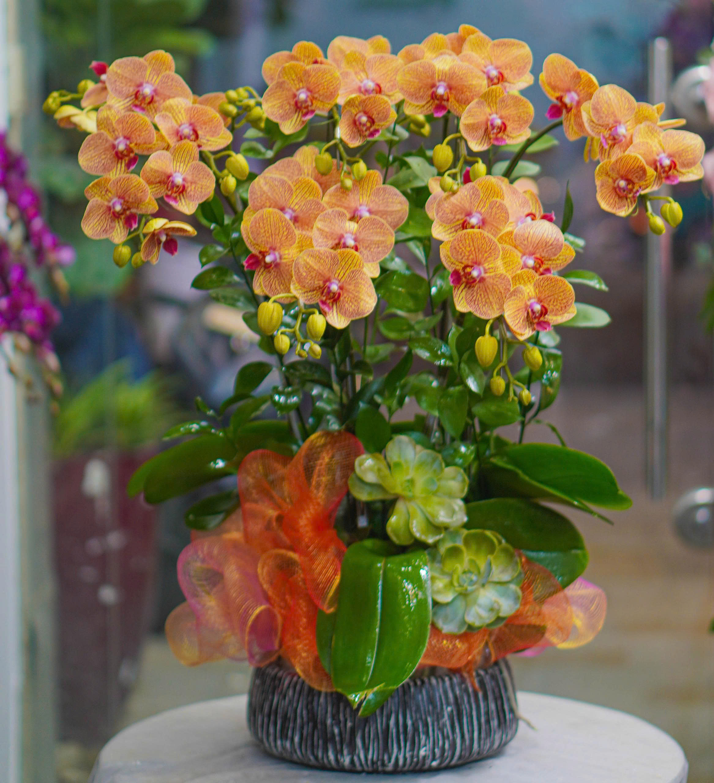 z7016121608307_b2a2b69aaf893c13ce1a96f7ac1076c6