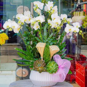 Chậu Hoa Lan Hồ Điệp Trắng (T12-N13/04)
