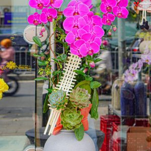 Chậu Hoa Lan Hồ Điệp Tím (T12-N13/05)