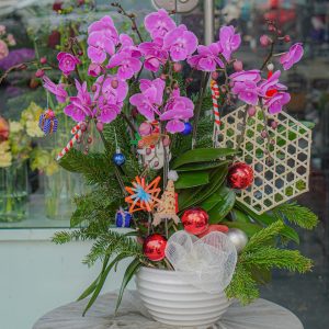 Chậu Hoa Lan Hồ Điệp Mini Tím (T12-N19/03)