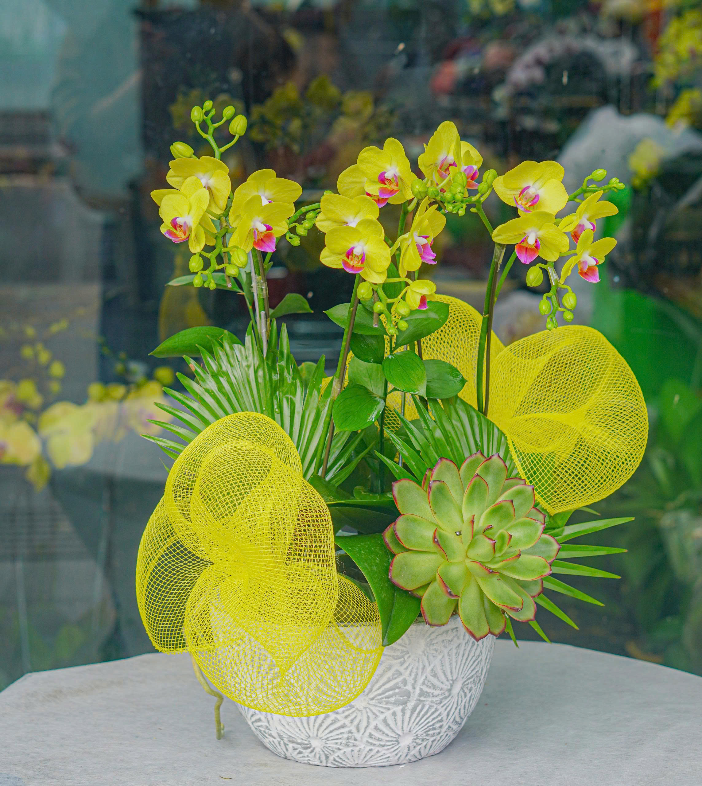 z7362831164408_6757e8392f55fab688f369a7b021cefa