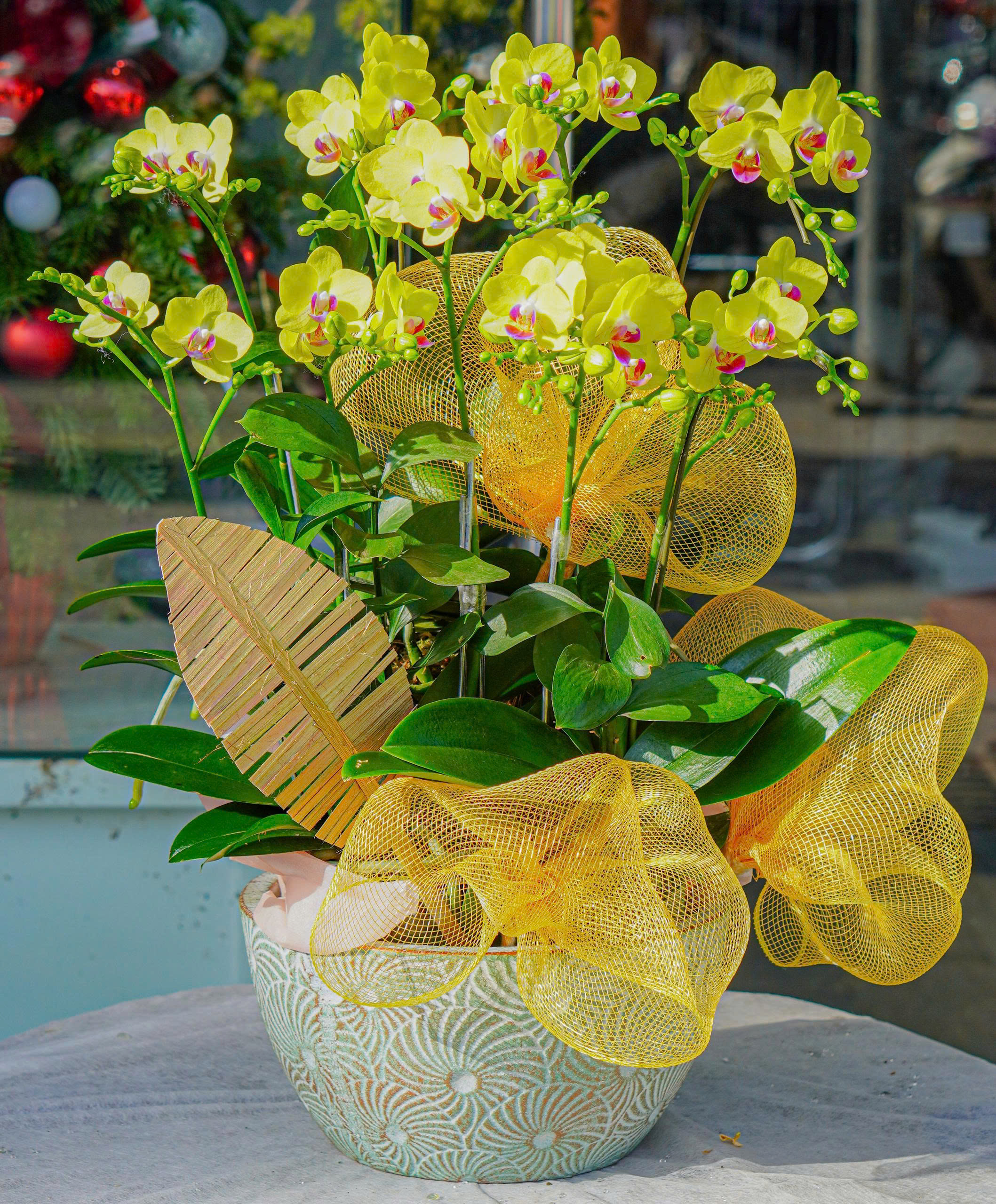 z7367200230001_b83c03df29cad5e83c001689d35ce10d