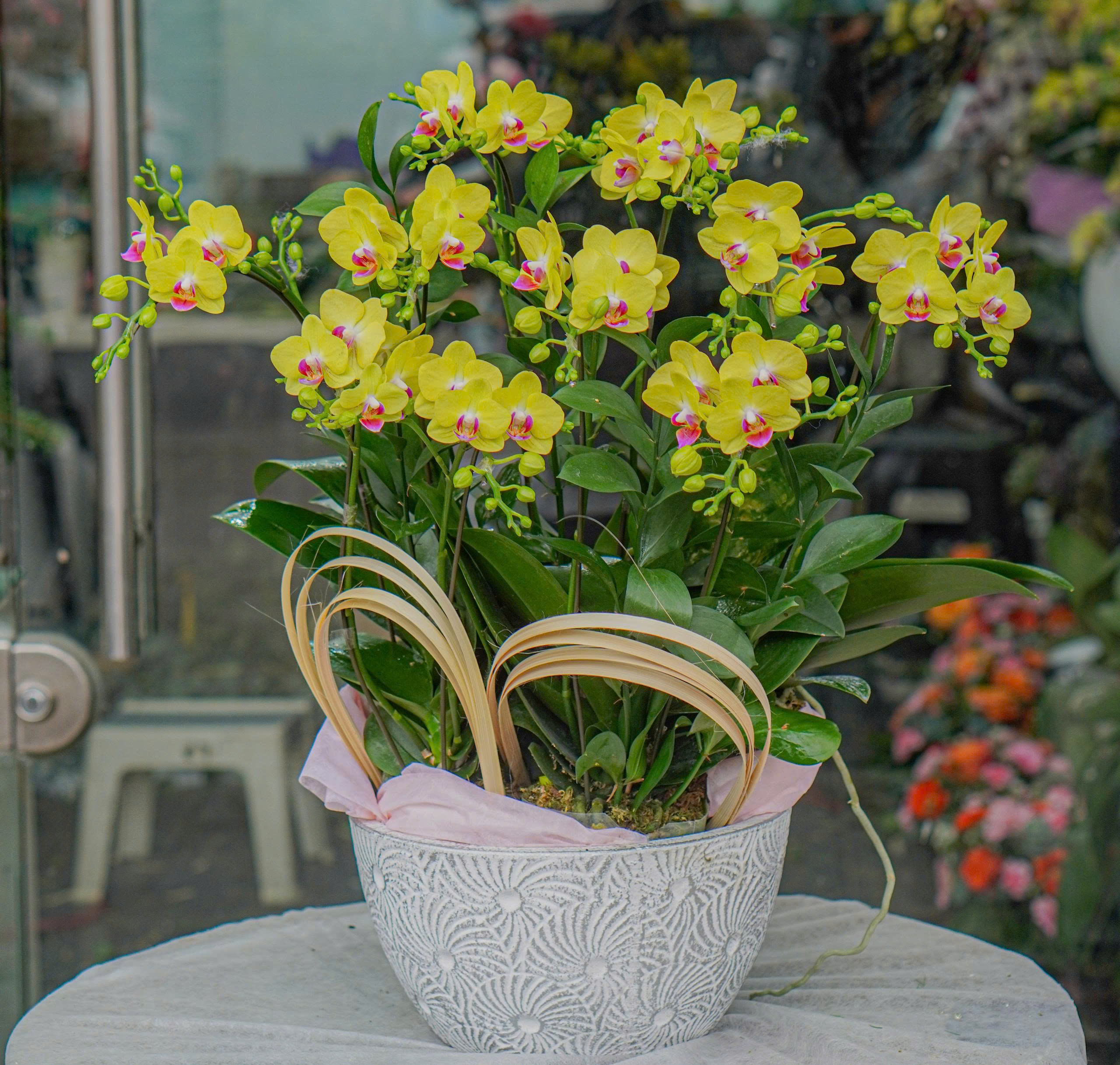 z7367632715969_072630eae886df3d61772c61e103a428