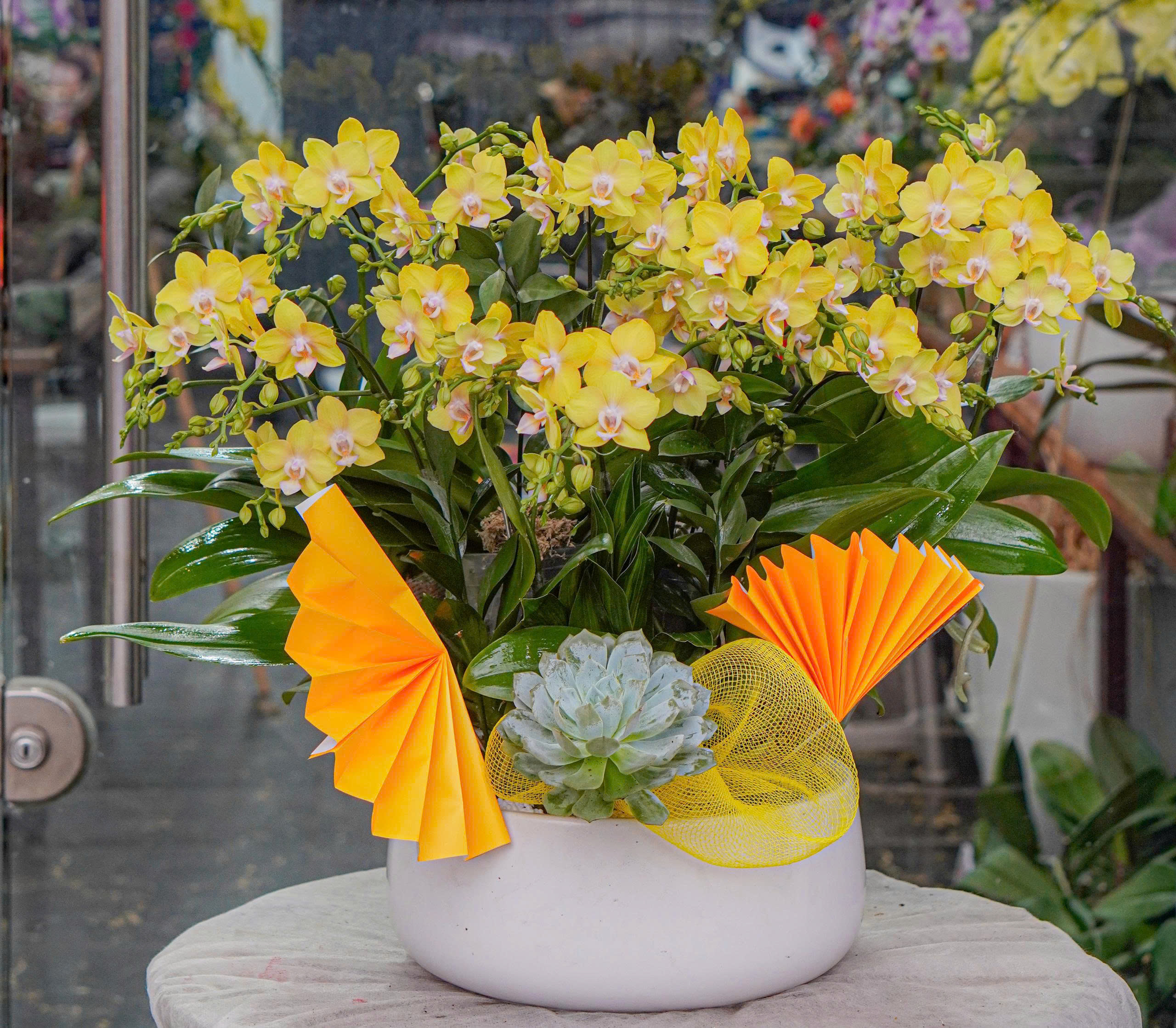 z7399543915410_04769d3f4204b6edd48af4a678f8b11c