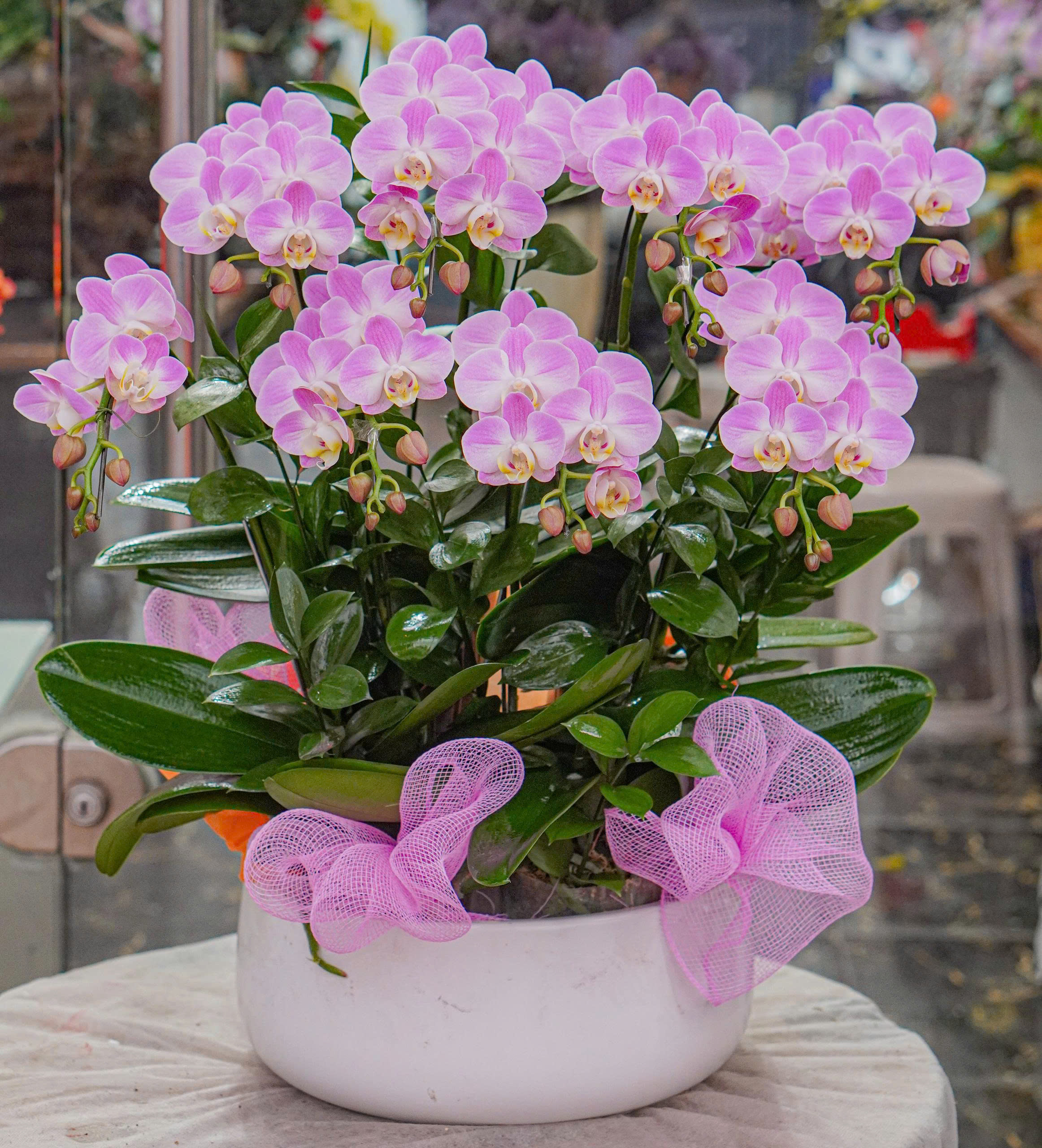 z7399834072710_bb974b4264fb03882e9de87d4273ac4b