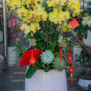 Chậu Hoa Lan Hồ Điệp Vàng 8 Cành (T02-N2/09)