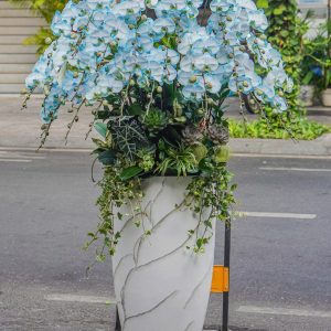 Chậu Hoa Lan Hồ Điệp 25 Cành (T05-N09/04)