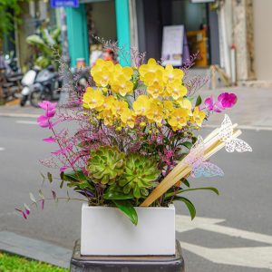 Chậu Hoa Lan Hồ Điệp Mini Vàng 6 Cành (T05-04/06)