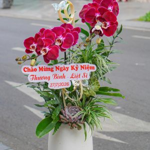 Chậu Hoa Lan Hồ Điệp Tím Ngọc Trai 2 Cành (T07-N18/07)