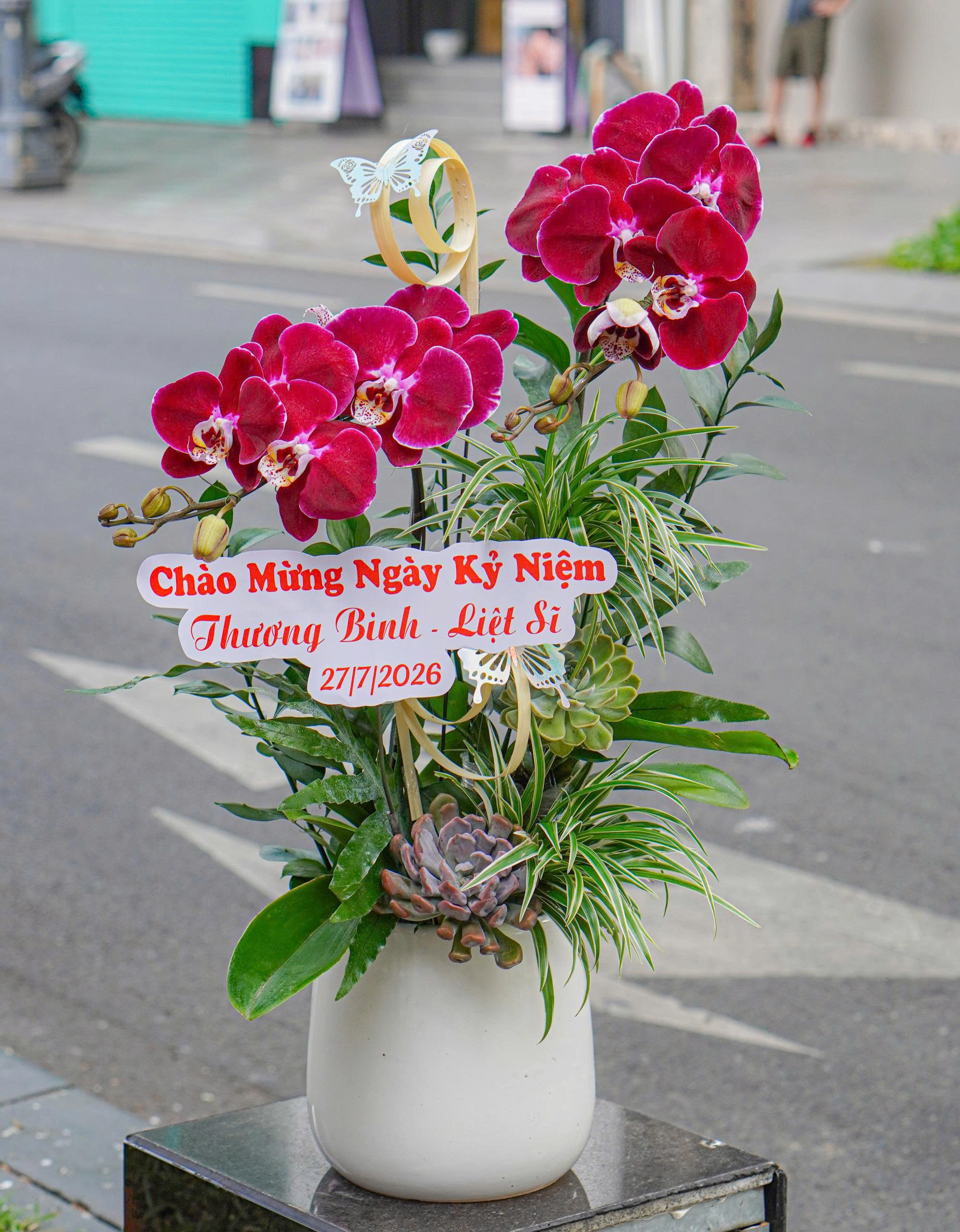 Chậu Hoa Lan Hồ Điệp Tím Ngọc Trai 2 Cành (T07-N18/07)