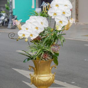 Chậu Hoa Lan Hồ Điệp Trắng 2 Cành (T07-N18/07)